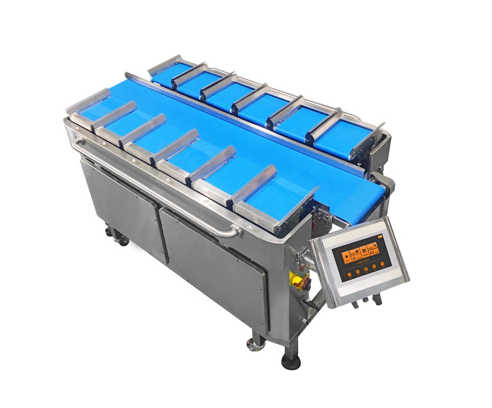 12 pesador de la combinación de la correa 160 para los productos acuáticos de la legumbre de fruta