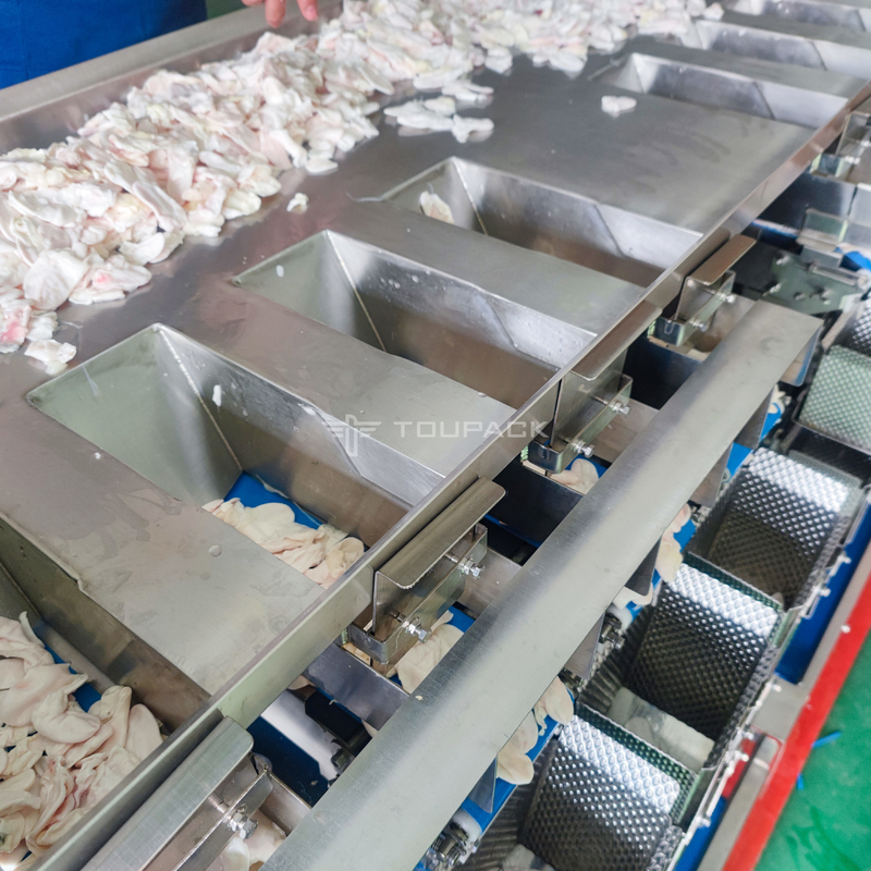 Tornillo que se pega anti principal de 8 de la combinación del pesador del cerdo alas de pollo que alimenta el pesador de Multihead