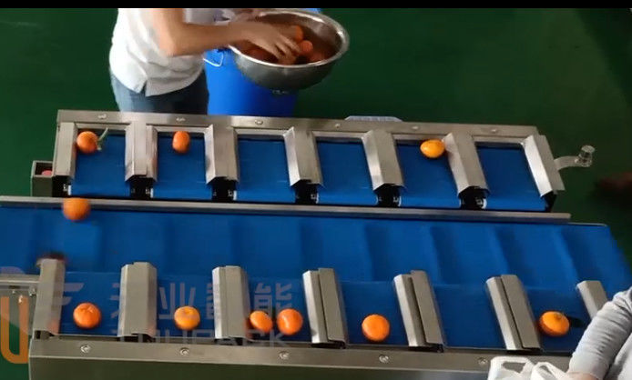 40BPM 10 pesaje anaranjado del transportador de correa de la fruta de la cabeza 14 de Multihead de la mandarina principal del pesador