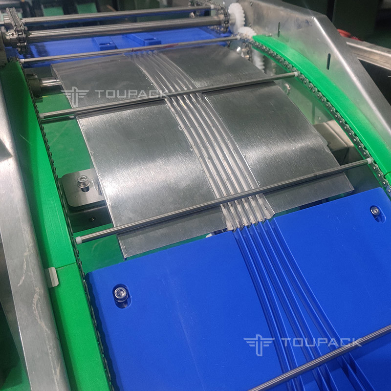 Peso de verificación de múltiples carriles de alta precisión automático de cankey de vitaminas con paquete de proteína en polvo