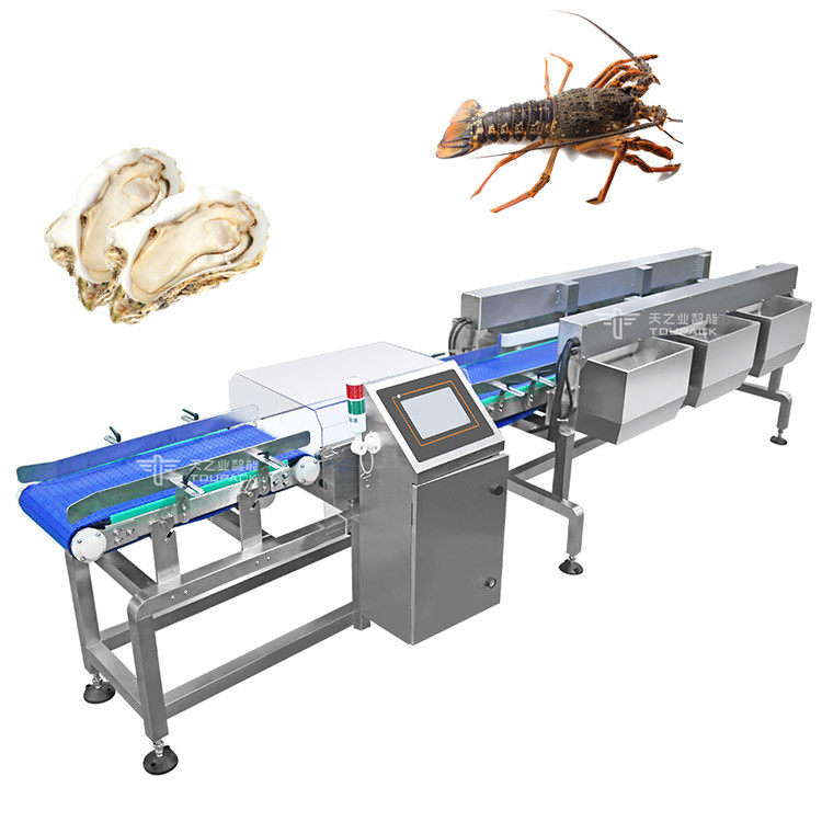 Máquina de clasificación de peso de cinta transportadora automática de alimentos Máquina transportadora industrial
