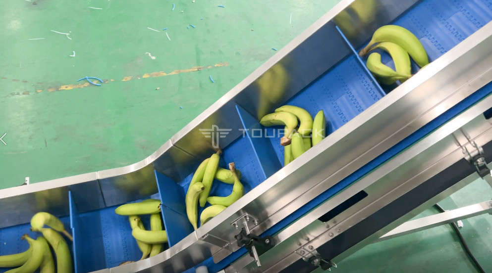 Fabrica de la industria de la malla semi-automática de la bolsa de pesado de la red de recuento de la red de recorte de la máquina de embalaje para la fruta del plátano