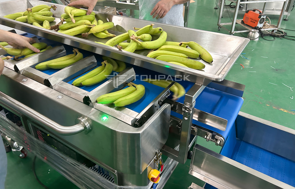 Fabrica de la industria de la malla semi-automática de la bolsa de pesado de la red de recuento de la red de recorte de la máquina de embalaje para la fruta del plátano