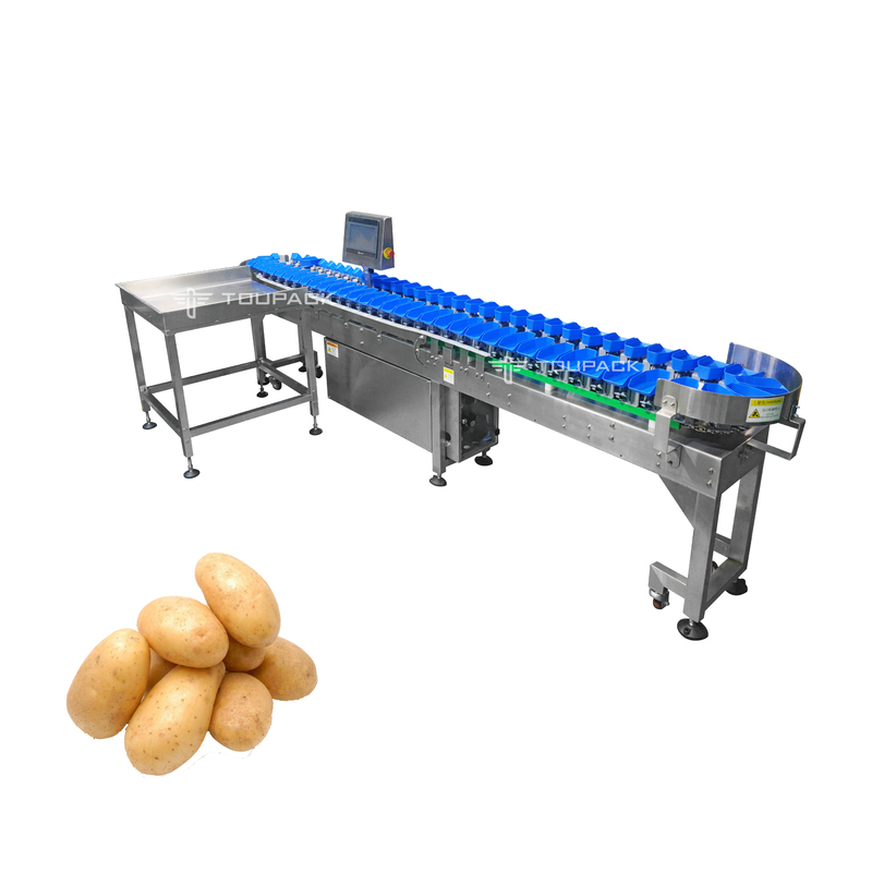 Máquina de clasificación de tomate, ajo y cebolla de acero inoxidable Máquina de clasificación de tamaño de papas Máquina de clasificación de peso de vegetales Maine