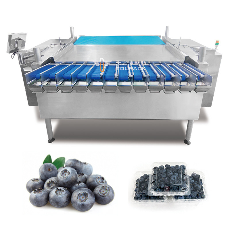Automática de la fruta de la pasión Kumquat Jujube de invierno Caja de plástico máquina de embalaje Blackberry Pesar línea de llenado de embalaje