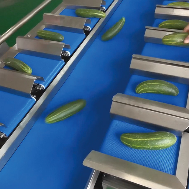 mangos secos Automático de varias estaciones de cinta transportadora acuática del mar pepinos de pescado filete de mesa peso objetivo contrapeso máquina