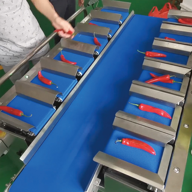 mangos secos Automático de varias estaciones de cinta transportadora acuática del mar pepinos de pescado filete de mesa peso objetivo contrapeso máquina