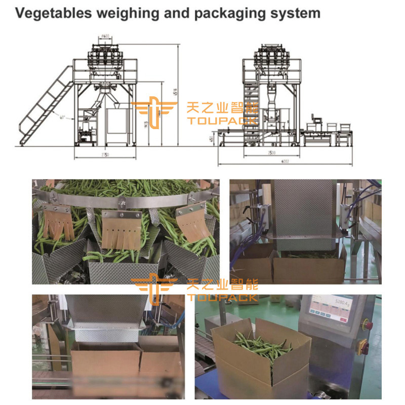 Pesadora multicabezal Combiweigh 500g 1kg 5kg Máquina empacadora multicabezal Pimiento verde Naranja Máquinas de envasado para cajas de cartón