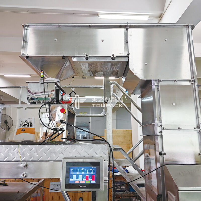 Máquina envasadora de polvo de especias 100g 200g 500g Equipo de envasado de chile en polvo Máquina de llenado y sellado de polvo