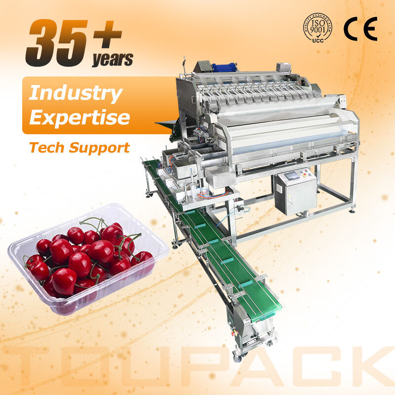 Pesadora lineal, línea automática de envasado y sellado de bandejas de frutas y verduras de tomate cherry con sistema de pesaje de alta precisión