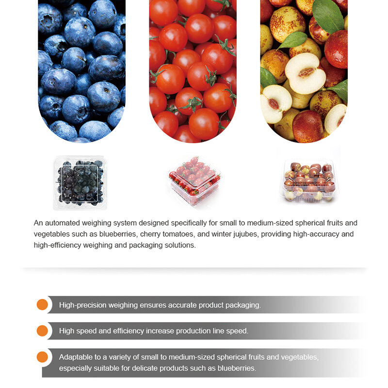 Pesadora lineal, línea automática de envasado y sellado de bandejas de frutas y verduras de tomate cherry con sistema de pesaje de alta precisión