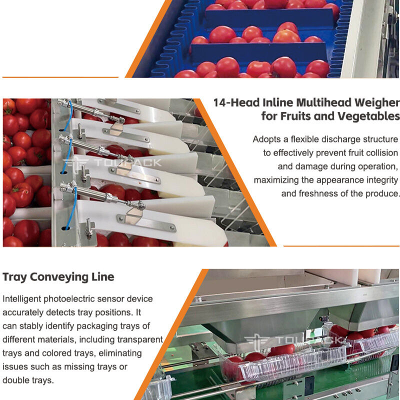 Pesadora lineal, línea automática de envasado y sellado de bandejas de frutas y verduras de tomate cherry con sistema de pesaje de alta precisión