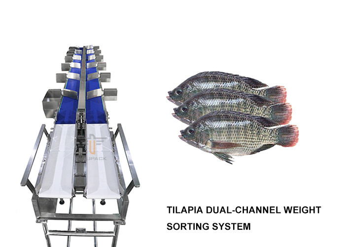 Live Fish fresco 12 califica una máquina más magnífica de la prenda impermeable de la máquina del clasificador de Multihweight
