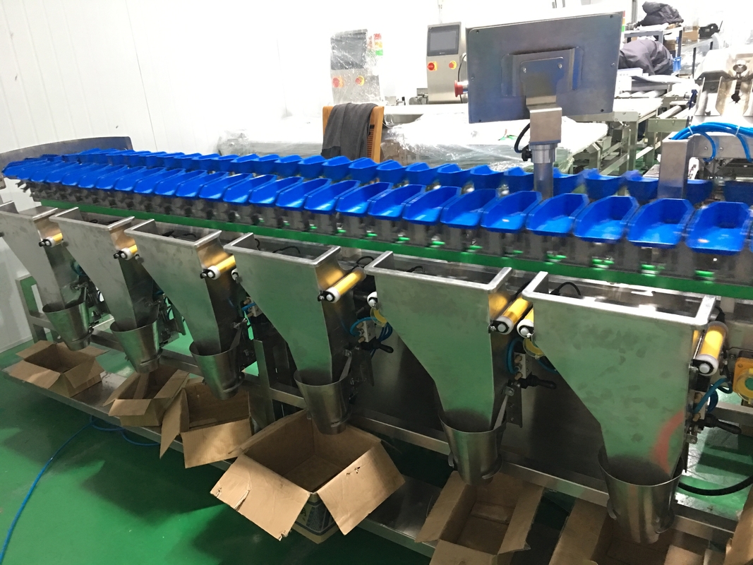 La prenda impermeable 12 califica la máquina del clasificador de Multihweight para los pescados de comida fresca/la salchicha/la yema de huevo