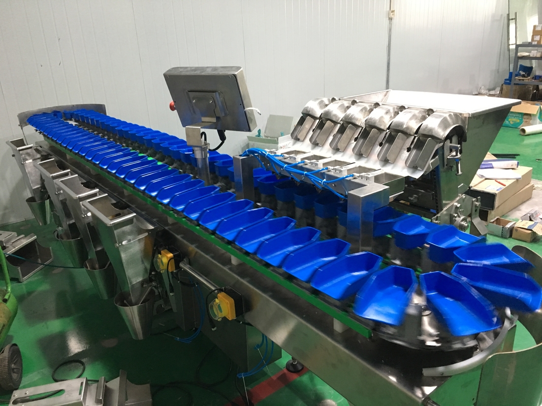 El pollo Wing Fish Grader Circular Multi de la clasificadora del peso de la banda transportadora carga la clasificadora con la banda transportadora