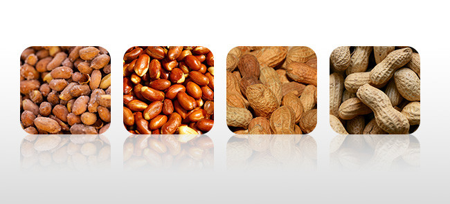 304 relleno de peso grande de acero inoxidable del grano del gránulo 8.0L de la máquina linear a granel del pesador