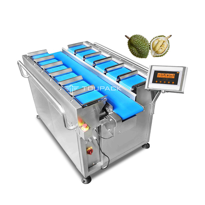 El Durian secado congelado secó el tipo manual de la correa del equipo de la combinación del pesador de Multihead de la fruta de los mangos