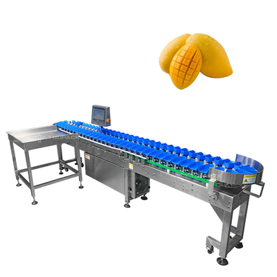 Clasificadora de acero inoxidable del tamaño automático 304 para la clasificación de las legumbres de fruta del mango