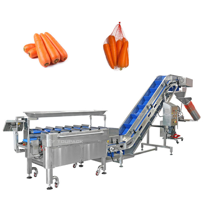 Máquina de pesaje y embalaje de zanahorias semiautomática