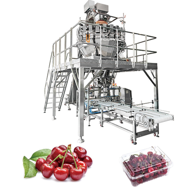 Máquina automática de embalaje de frutas de manzana de tomate de cereza enlatado de embalaje de la bandeja de Kumquat de embalaje de la máquina
