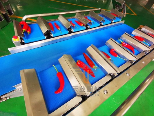 Pesador de Multihead de la fruta de la correa de Chili Vegetables 2000g 12