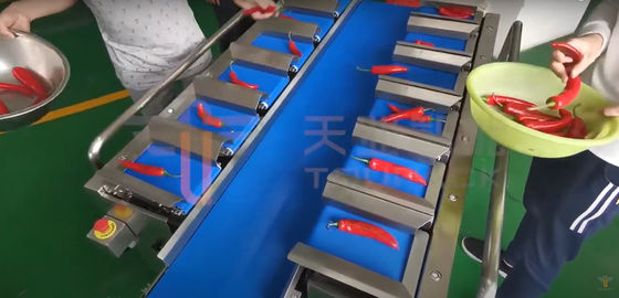 Pesador de la correa de Chili Carrot Food Grade Siemens para el producto irregular