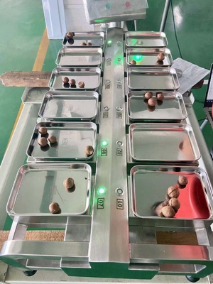 Escala de escritorio 10