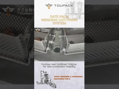 Línea de embalaje de la caja de la palma datilera del arreglo para requisitos particulares planta de fabricación automática de la producción de la máquina de rellenar del gránulo