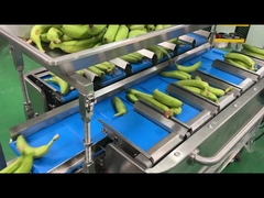 Fabrica Industria de la malla semi-automática de la bolsa de pesado de la red de recuento de recorte de la red de embalaje de embalaje