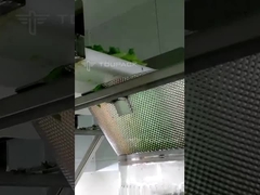 Máquina de embalaje de ensaladas con varias cabezas