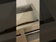 Máquina de embalaje de grano de café con pesaje lineal