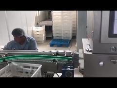 Máquina de inspección automática de rayos X para la industria alimentaria Sistema de inspección de rayos X