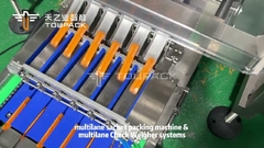 Máquina de embalaje industrial de bolsas con bastón de varios carriles con pesaje de control de varios carriles