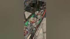 Alimento para loros alimento para mascotas VFFS Nueces Gránulos Congelar Frutas Secas Máquina de envasado para frutas secas