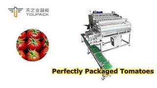 Sistema automatizado de pesaje y envasado de alta eficiencia para tomates cherry y frutas pequeñas
